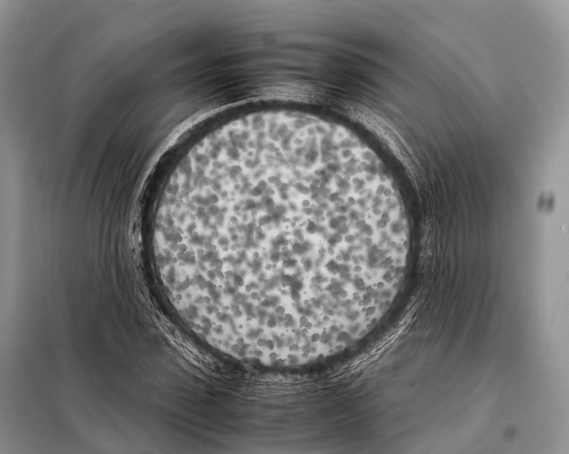 X0000098120923200805021153