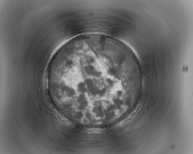 X0000098120925200805021153