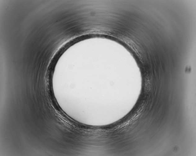 X0000098120926200805021153