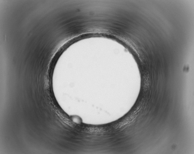 X0000098120927200805021153