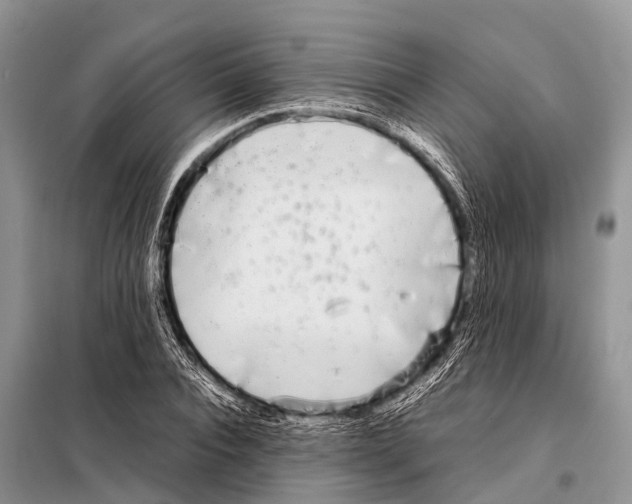 X0000098120928200805021153
