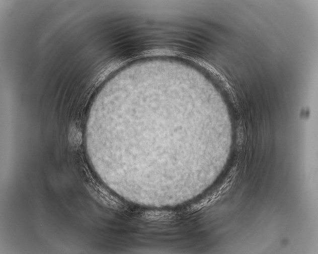 X0000098120929200805021153