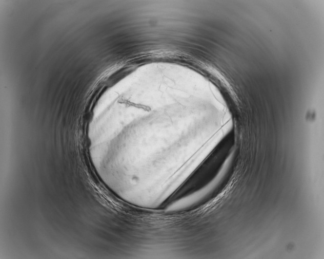 X0000098120930200805021153
