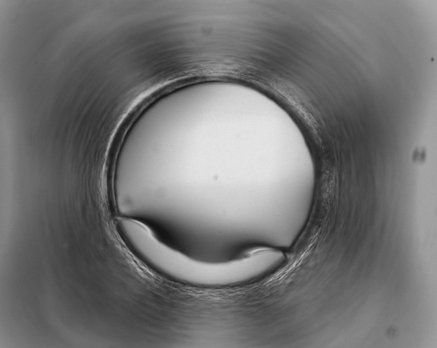 X0000098120932200805021153