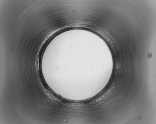 X0000098120934200805021153