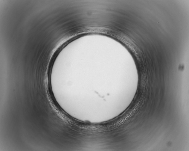 X0000098120936200805021153