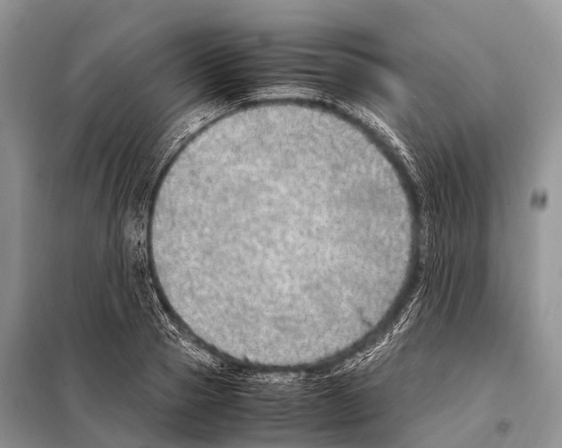 X0000098120937200805021153