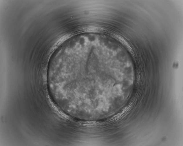 X0000098120938200805021153