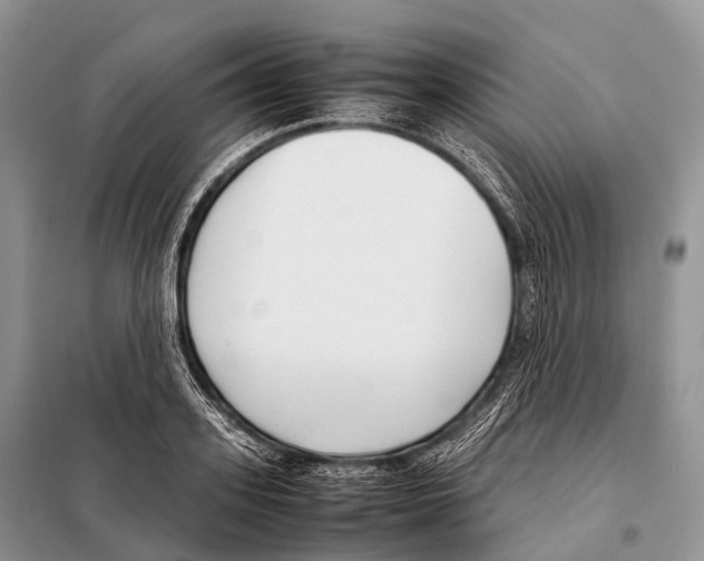 X0000098120939200805021153