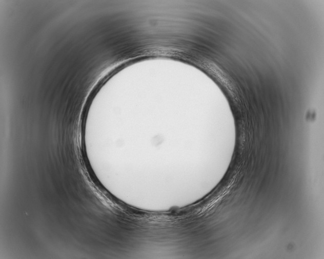 X0000098120940200805021153