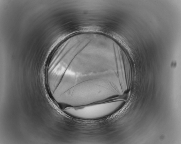 X0000098120941200805021153