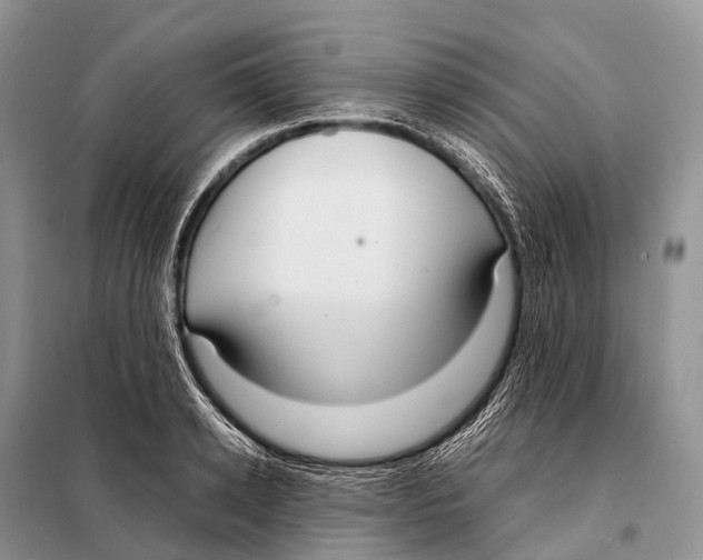 X0000098120942200805021153