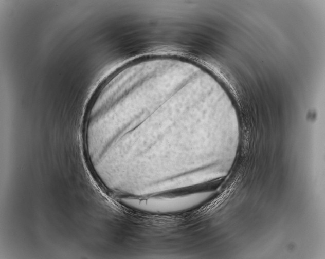 X0000098120943200805021153