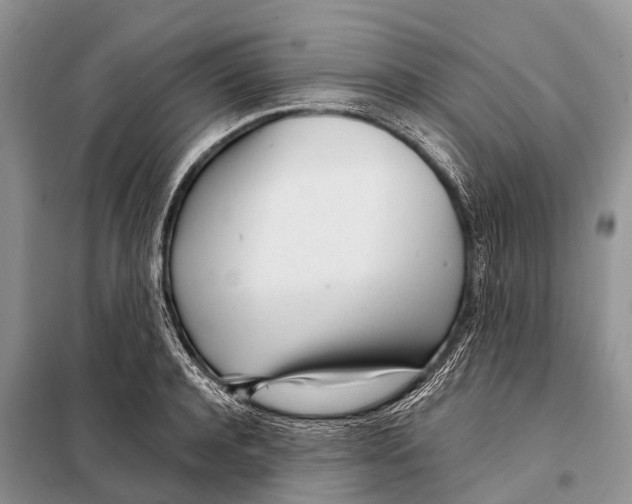X0000098120944200805021153