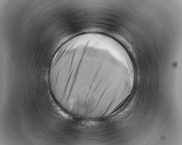 X0000098120945200805021153