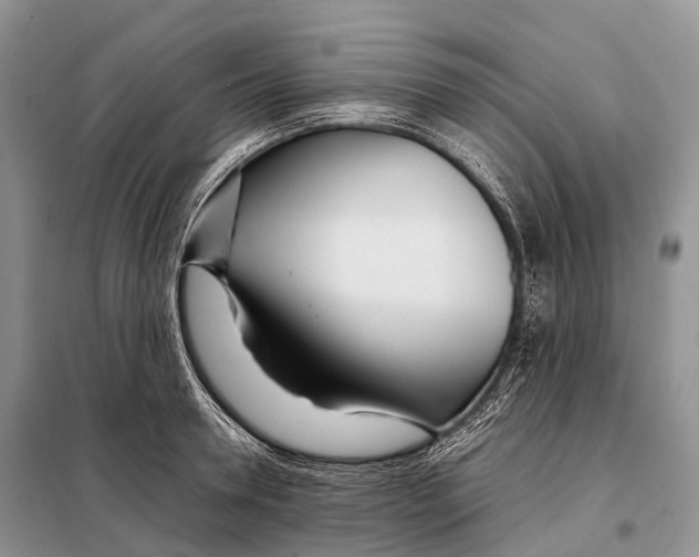 X0000098120946200805021153
