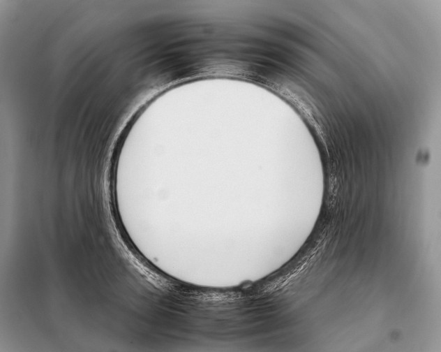 X0000098120947200805021153
