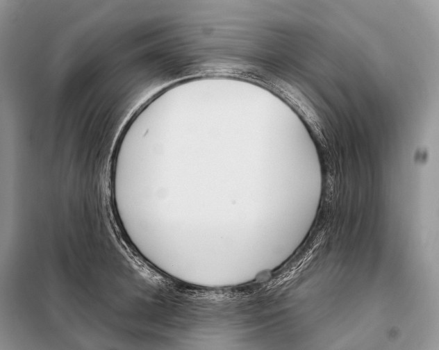 X0000098120948200805021153