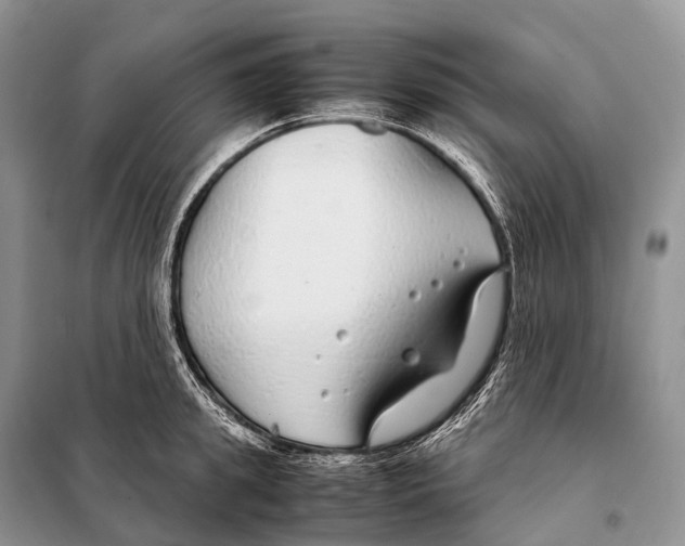 X0000098120949200805021153