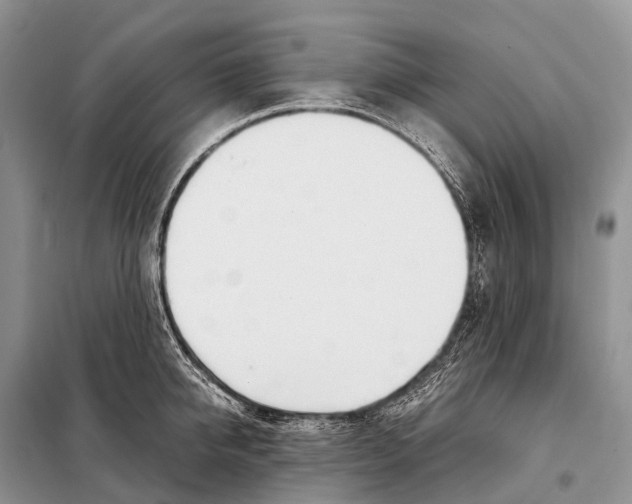 X0000098120950200805021153