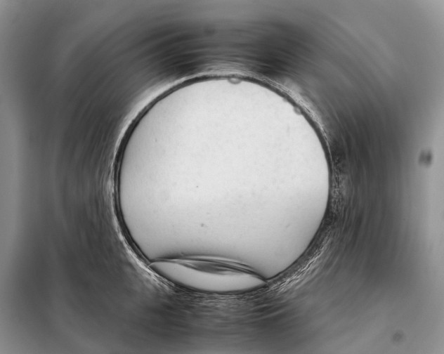 X0000098120951200805021153