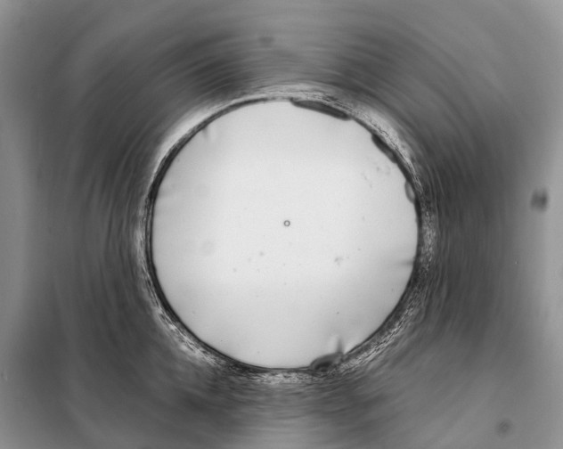 X0000098120952200805021153