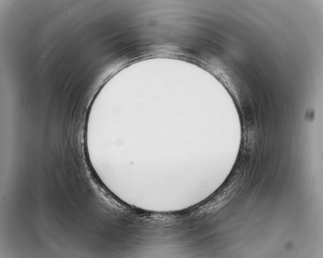 X0000098120954200805021153