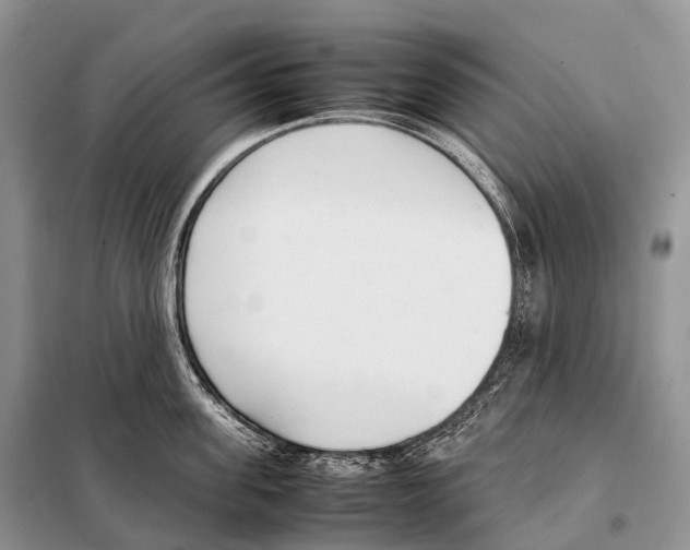 X0000098120955200805021153