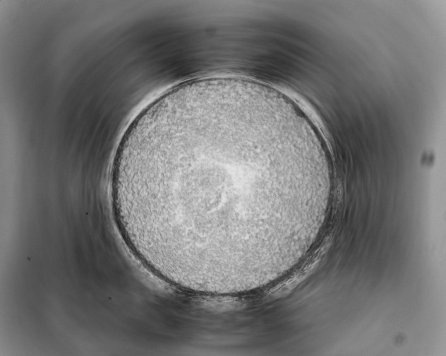 X0000098120957200805021153