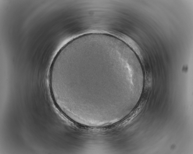 X0000098120958200805021153