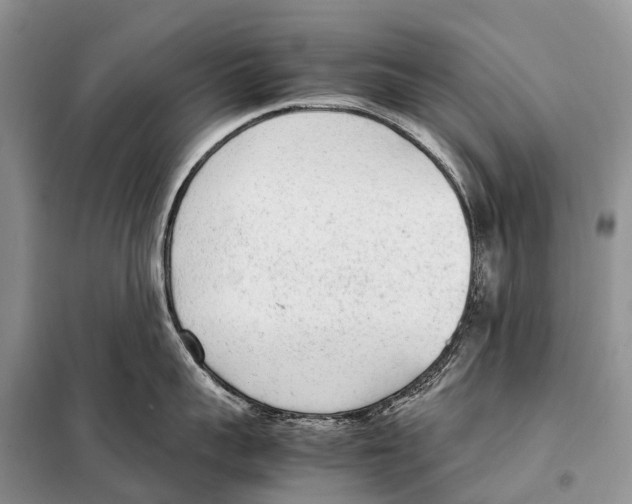 X0000098120959200805021153