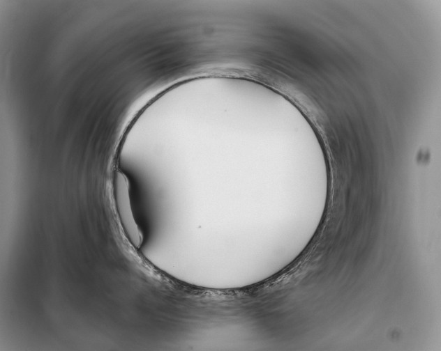X0000098120960200805021153
