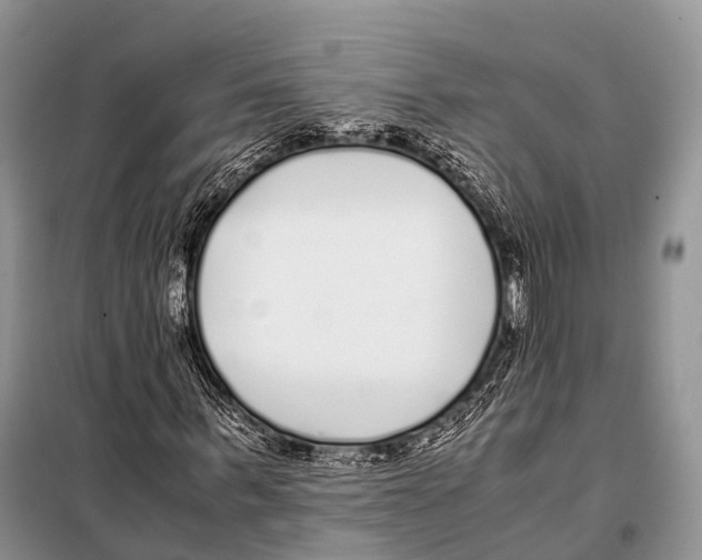 X0000098120963200805021152