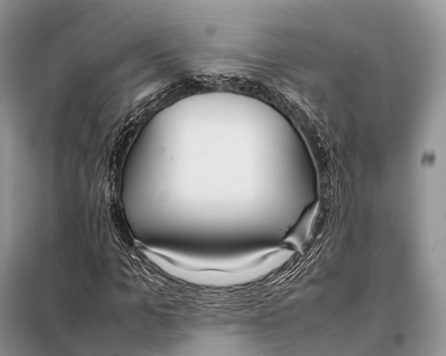 X0000098120965200805021152