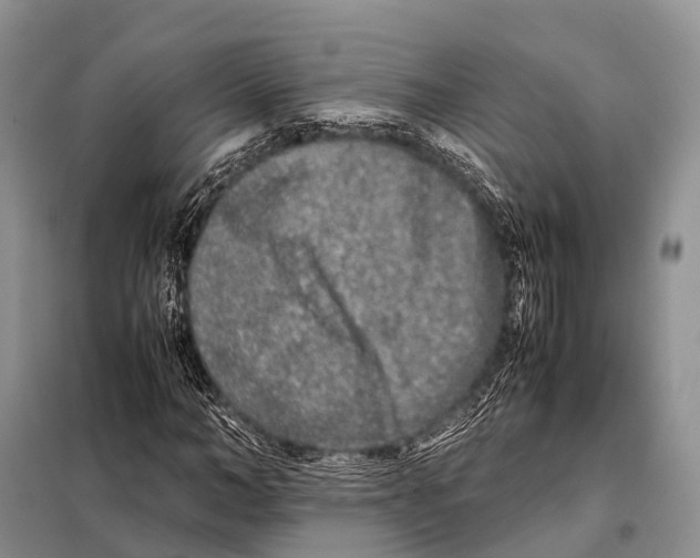 X0000098120966200805021152