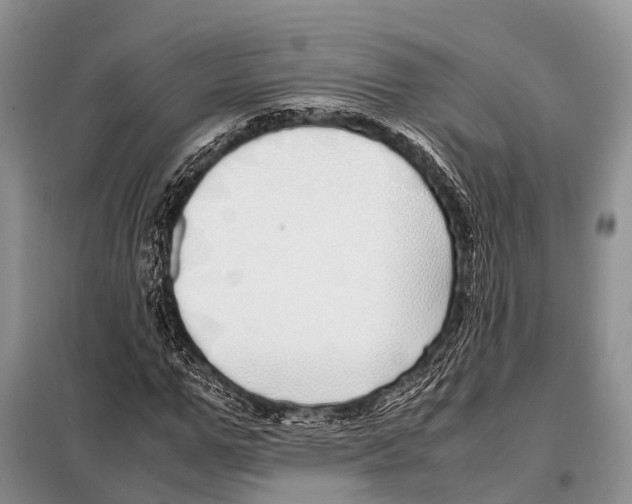 X0000098120967200805021152