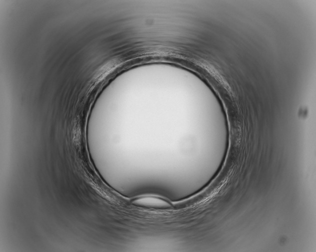 X0000098120969200805021152