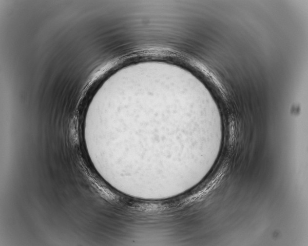 X0000098120970200805021152