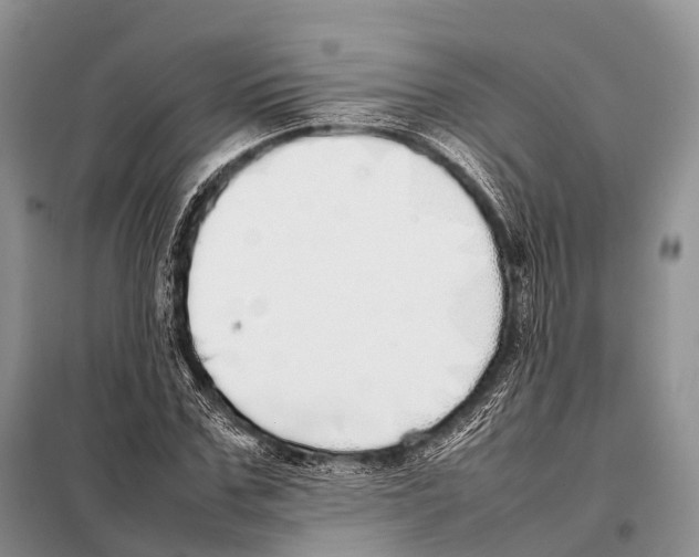 X0000098120971200805021152