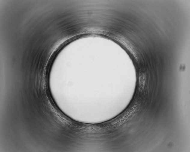 X0000098120972200805021152
