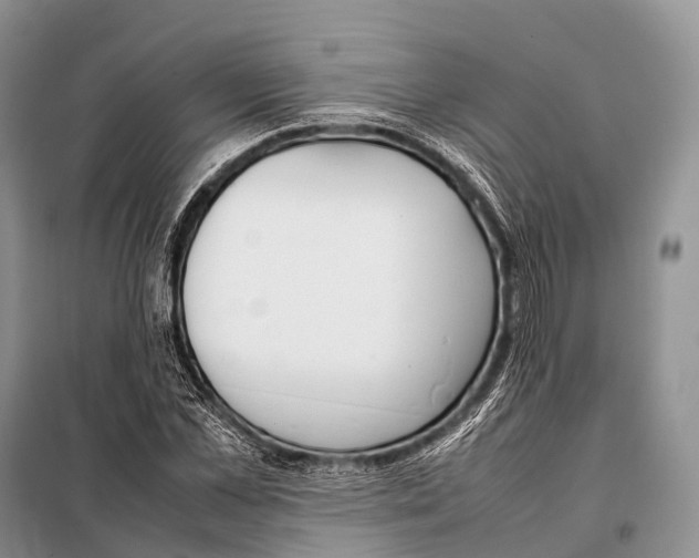 X0000098120973200805021152