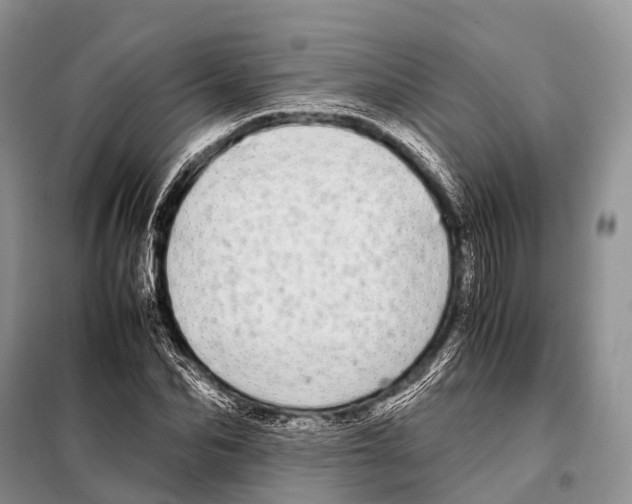 X0000098120974200805021152