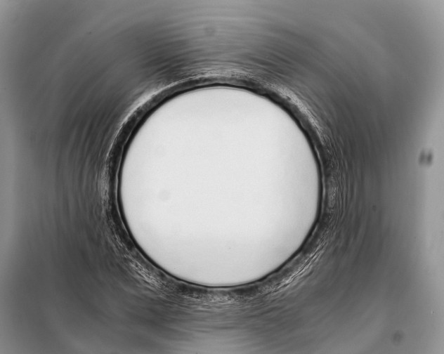 X0000098120975200805021152