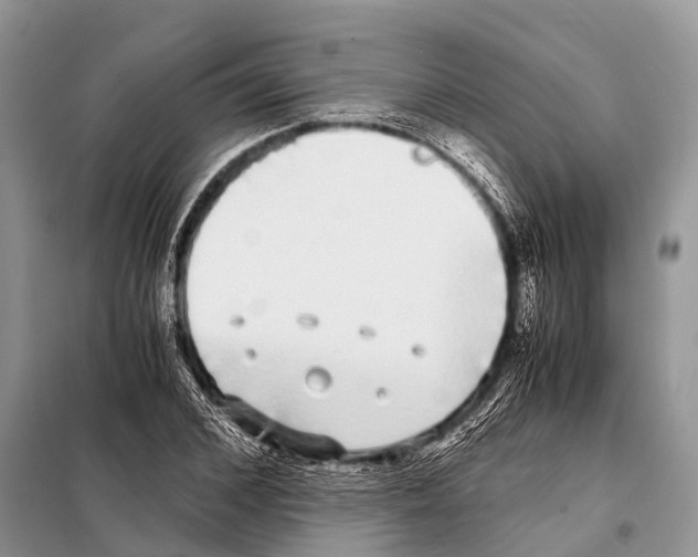 X0000098120976200805021152