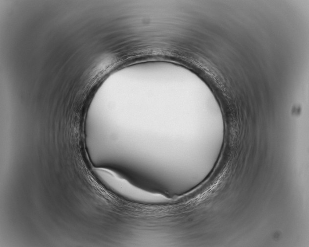 X0000098120977200805021152