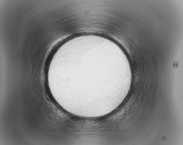 X0000098120979200805021152
