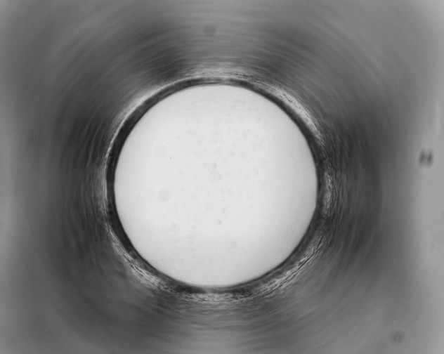 X0000098120980200805021152