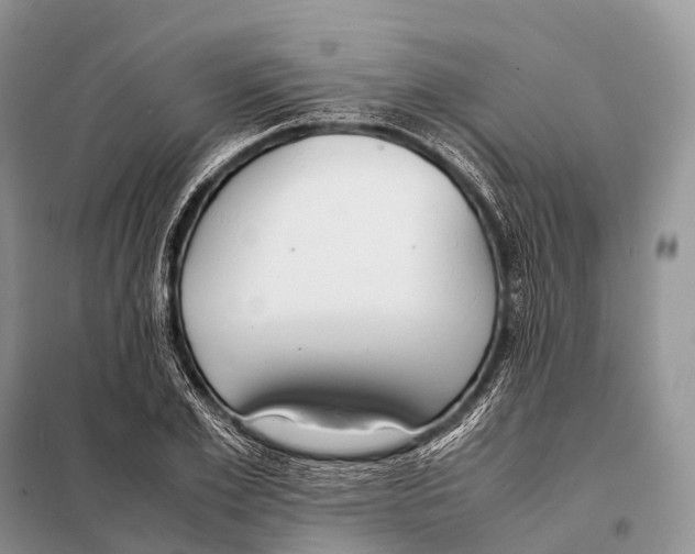 X0000098120981200805021152