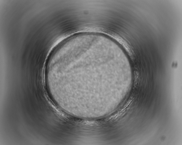 X0000098120982200805021152