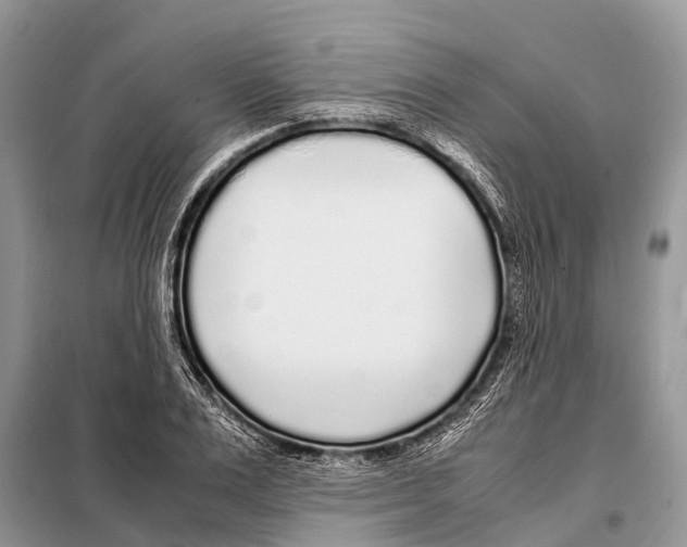 X0000098120983200805021152